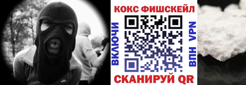 КОКАИН Fish Scale  ОМГ ОМГ маркетплейс  Порхов 