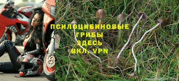 дмт Армянск