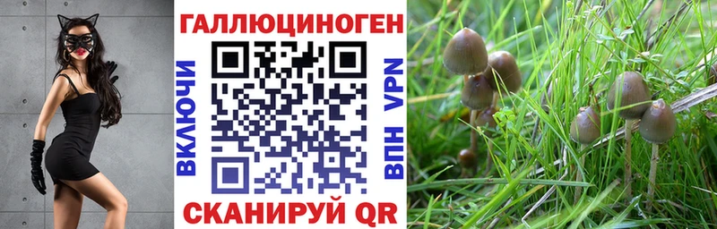 Псилоцибиновые грибы мицелий Порхов